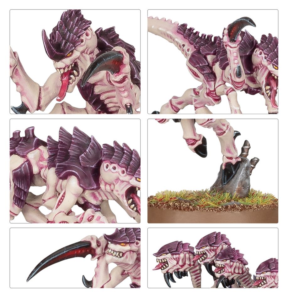 Tyranids: Onslaught Swarm - 泰倫蟲族:猛攻蟲群