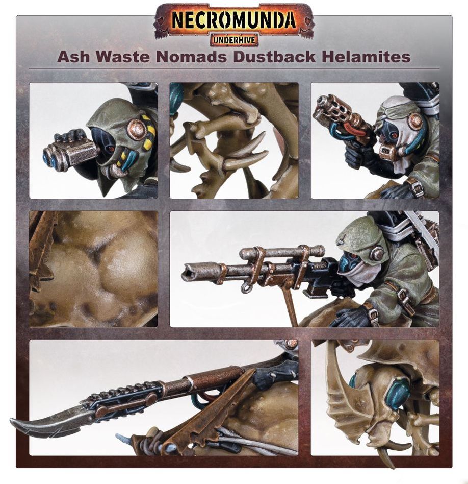 Necromunda: Ash Waste Nomads Dustback Helamites - 涅克羅蒙達:破沙蝨蚤騎手