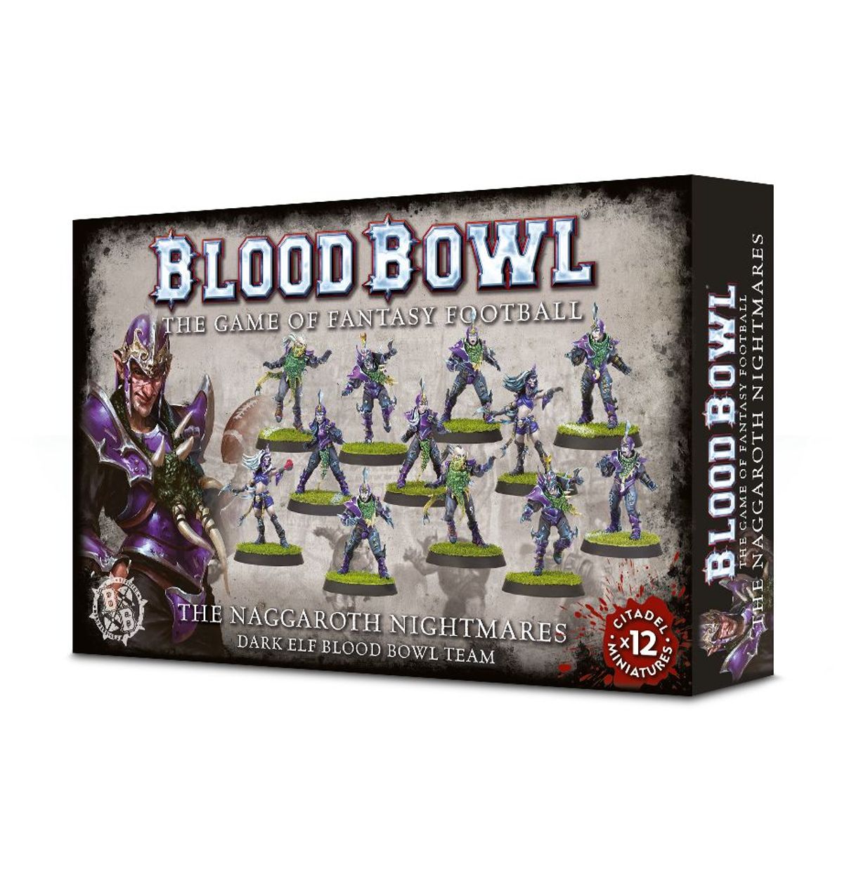 Blood Bowl: Dark Elf Team - 血腥橄欖球:暗黑精靈球隊