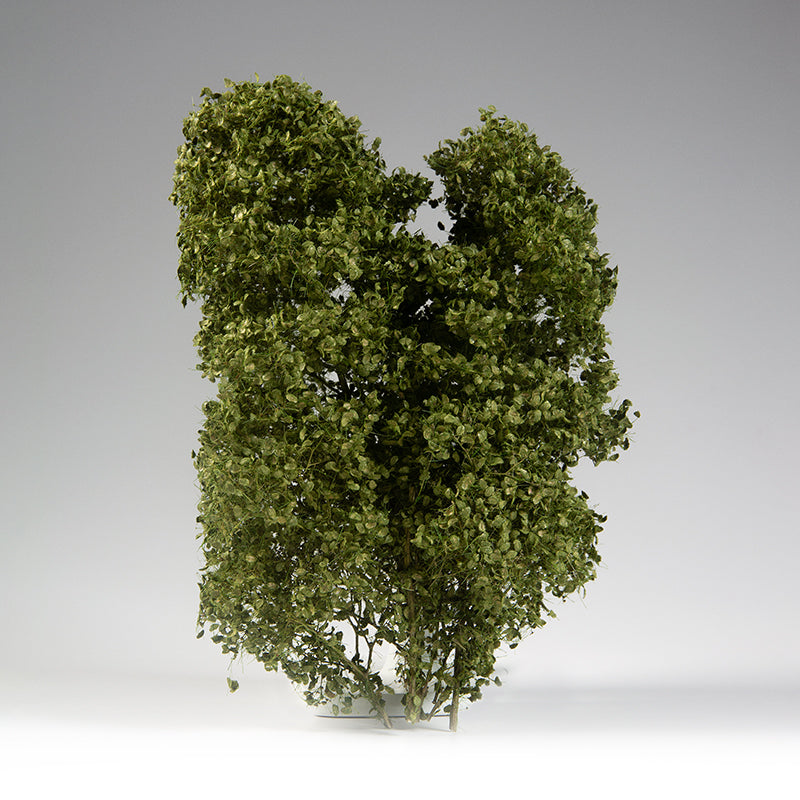 AK8237 - Dioramas - Summer Filigree Bushes 1:35 - 造景 - 夏季花絲叢