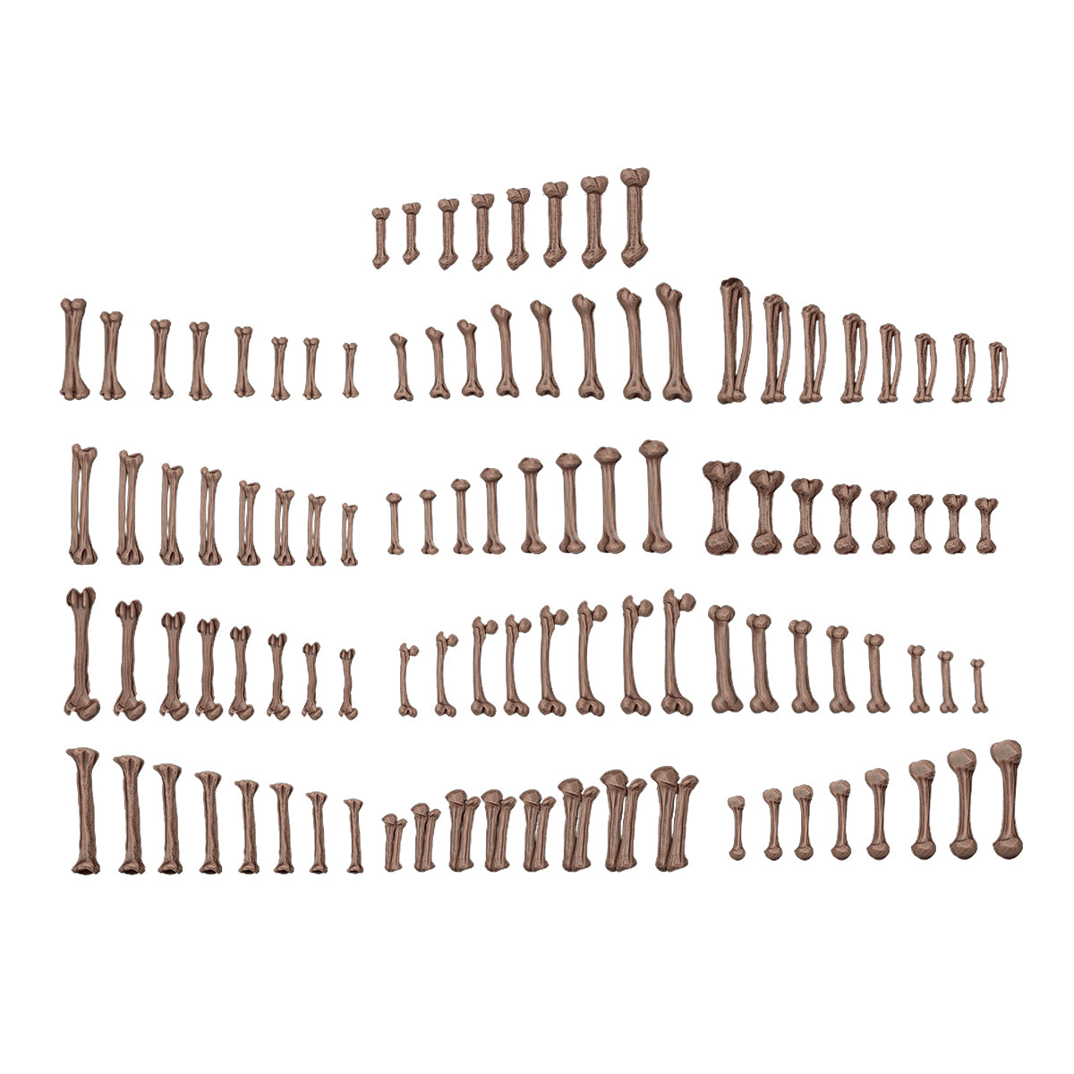 AKBIT0013 - Basing Bit - Wargame Scenery - Human Bones