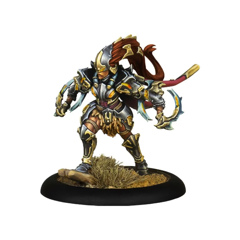 Warmachine: Orgoth Sea Raiders Battlegroup Box