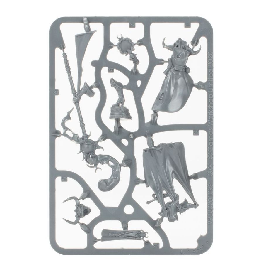 Hedonites of Slaanesh: Shardspeaker of Slaanesh - 奸奇尋樂魔眾碎語者
