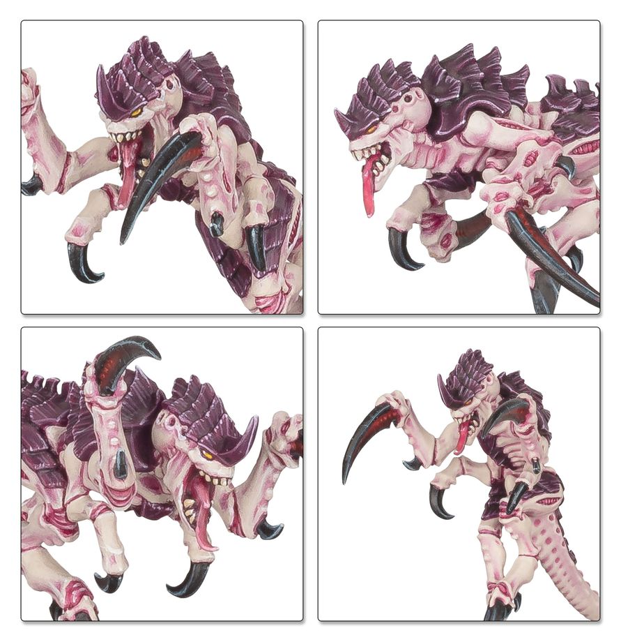 Tyranids: Battleforce - Tyranid Swarm - 戰鬥部隊：泰倫蟲族集群