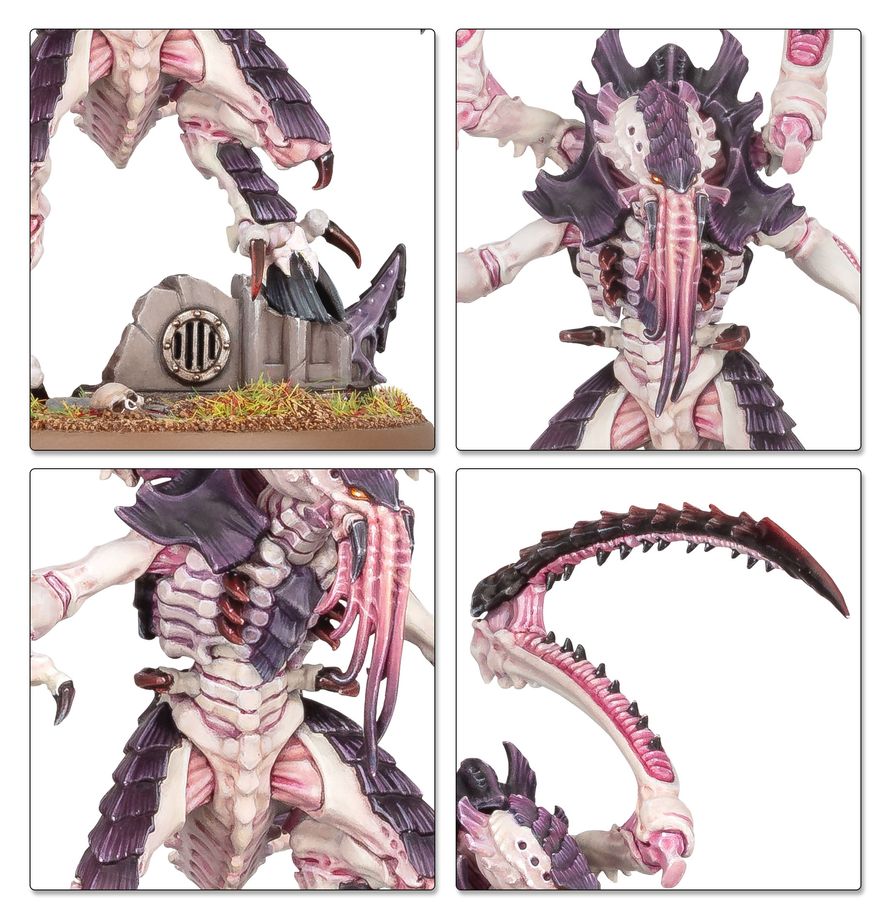 Tyranids: Battleforce - Tyranid Swarm - 戰鬥部隊：泰倫蟲族集群