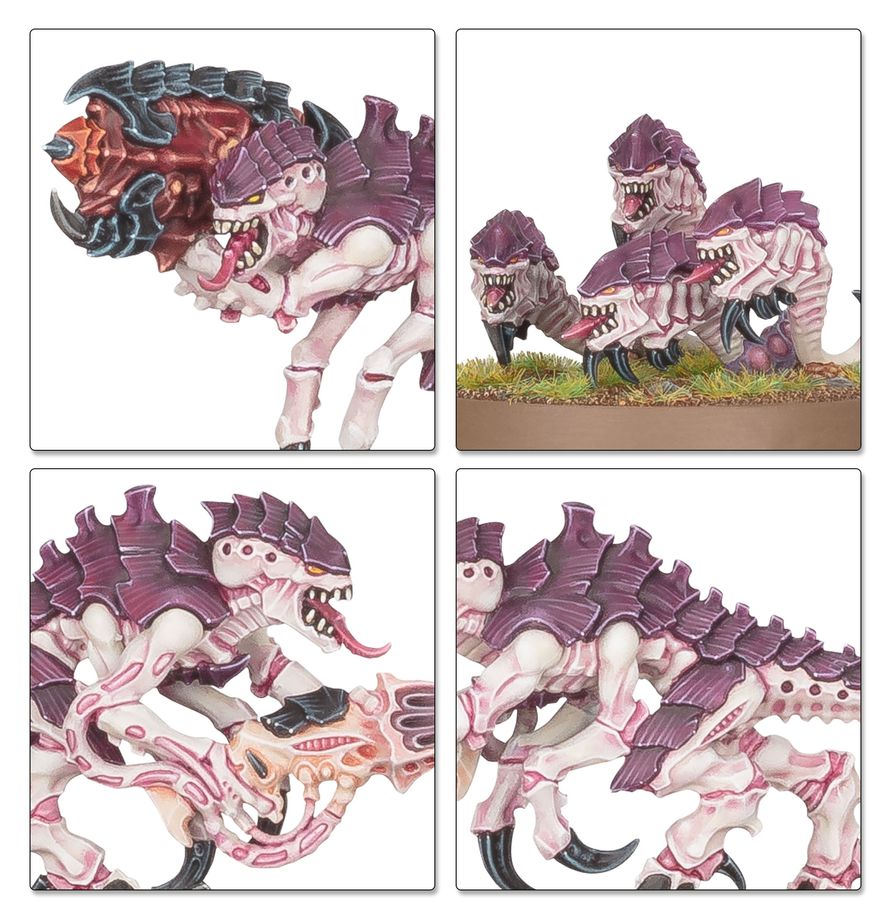 Tyranids: Battleforce - Tyranid Swarm - 戰鬥部隊：泰倫蟲族集群
