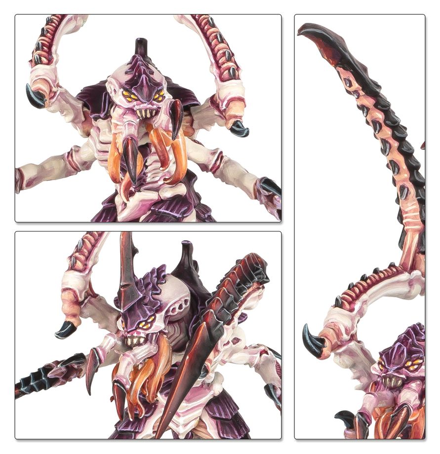 Tyranids: Battleforce - Tyranid Swarm - 戰鬥部隊：泰倫蟲族集群
