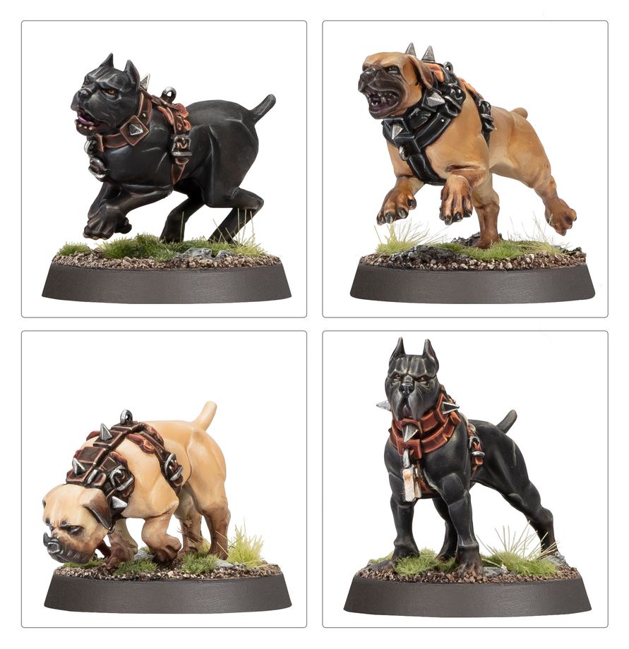 Cities of Sigmar: Regiment of Renown - Ven Denst's Hounds - 西格瑪之城：馮．鄧斯特的獵群