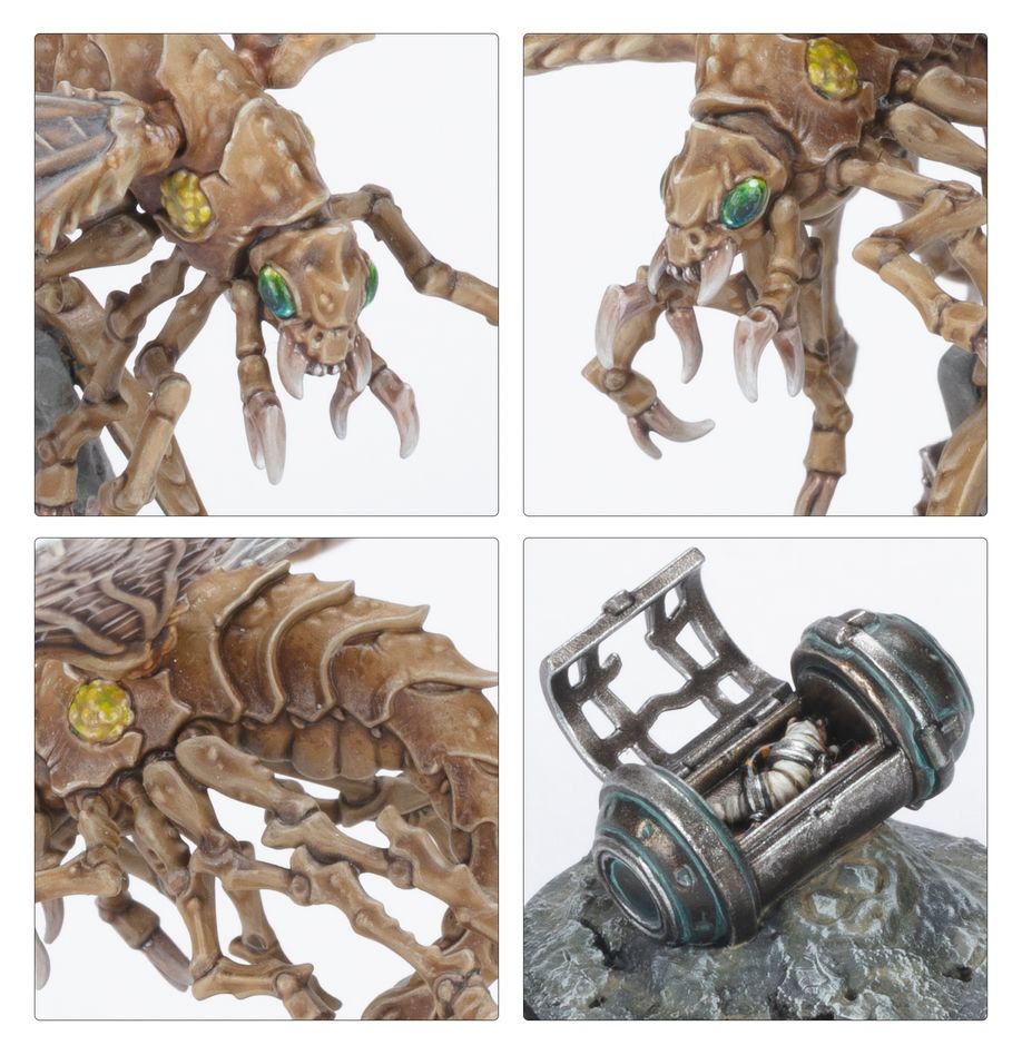 Necromunda: Ashwing Helamites - 涅克羅蒙達：遊牧民族燼翅游騎兵