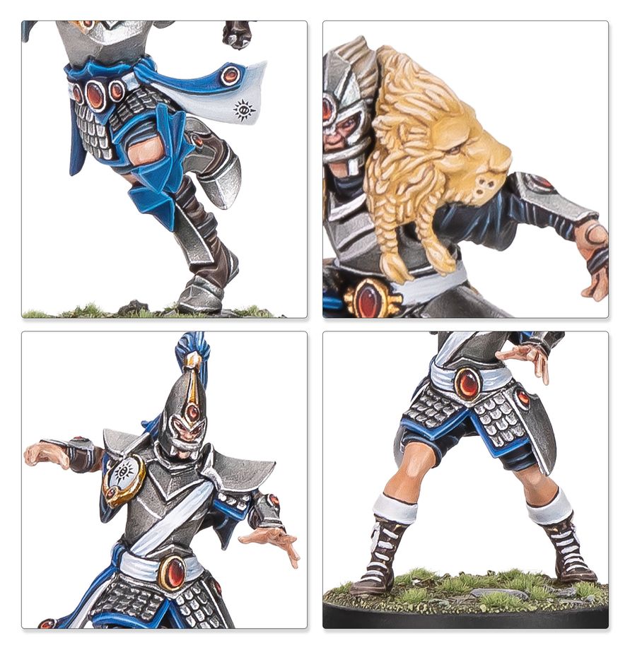 High Elf: Blood Bowl Team - The Caledor Dragons - 血碗橄欖球：高等精靈球隊
