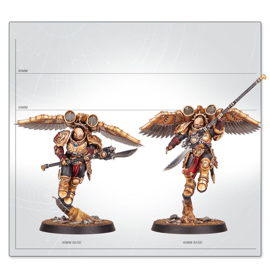 Adeptus Custodes: Venatari Sodality - 禁軍：翔獵禁軍兄弟會