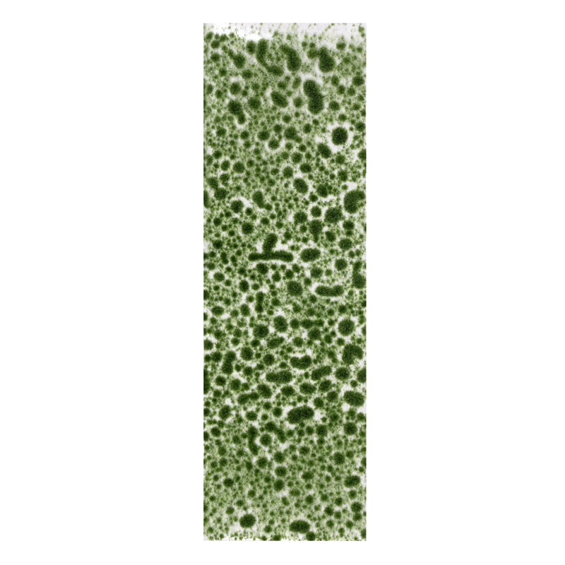 AK8132 - Vegetation - Realistic Green Moss - 植被 - 寫實綠苔癬