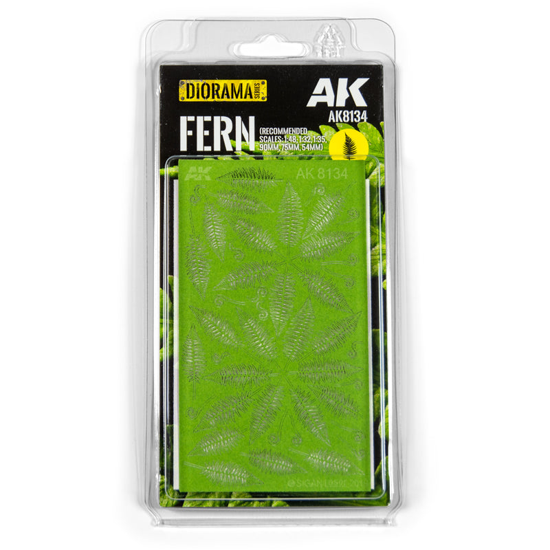 AK8134 - Vegetation - Fern - 植被 - 蕨類