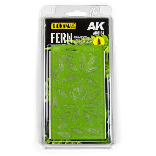 AK8134 - Vegetation - Fern - 植被 - 蕨類