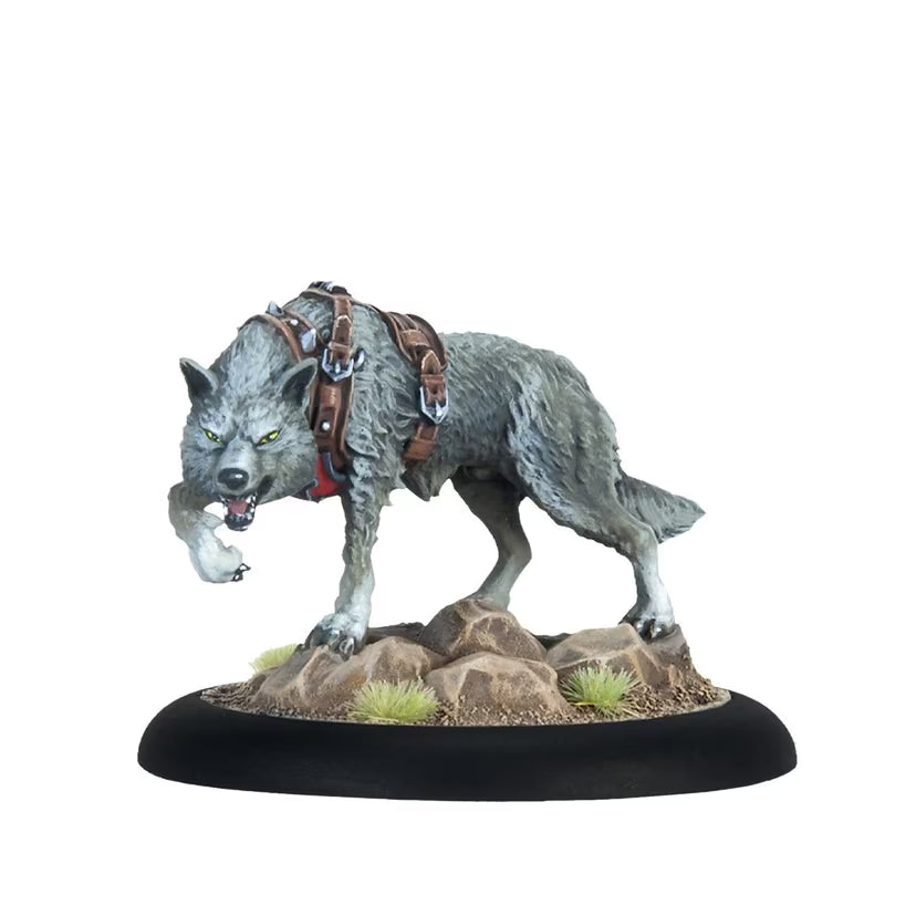 Warmachine: Khador Winter Korps Core Expansion