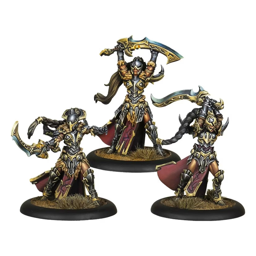 Warmachine-戰爭機甲: Orgoth Sea Raiders Core Expansion