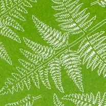 AK8136 - Vegetation - Bracken Fern - 植被 - 歐洲蕨