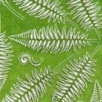 AK8134 - Vegetation - Fern - 植被 - 蕨類